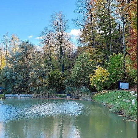 Orlyne Gnizdo Hotel Csernyivci Kültér fotó