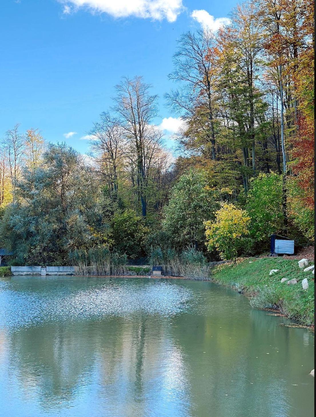 Orlyne Gnizdo Hotel Csernyivci Kültér fotó